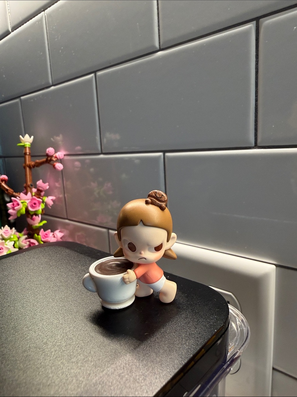 Zsiga coffee pop bean